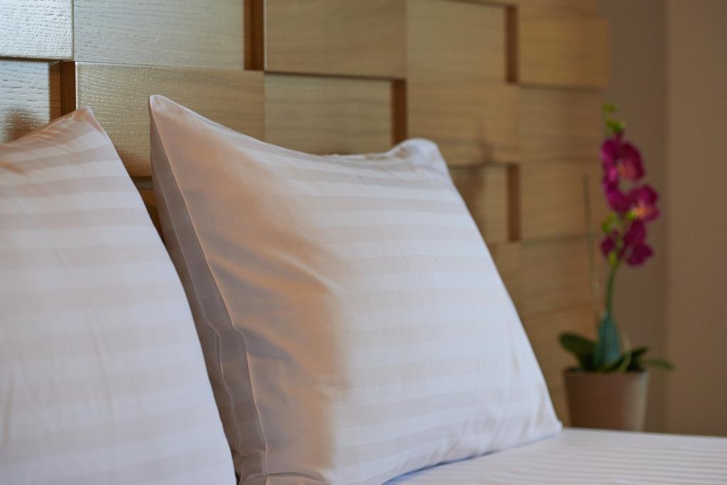 Athos Thea Luxury Apartment